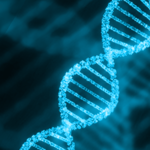Peptides